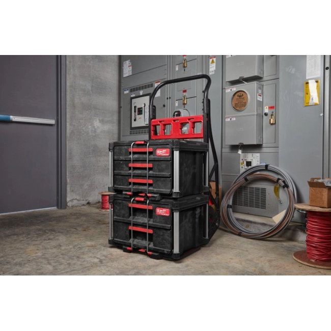 Vendita online Cassettiera portautensili a 2 cassetti PACKOUT™ 